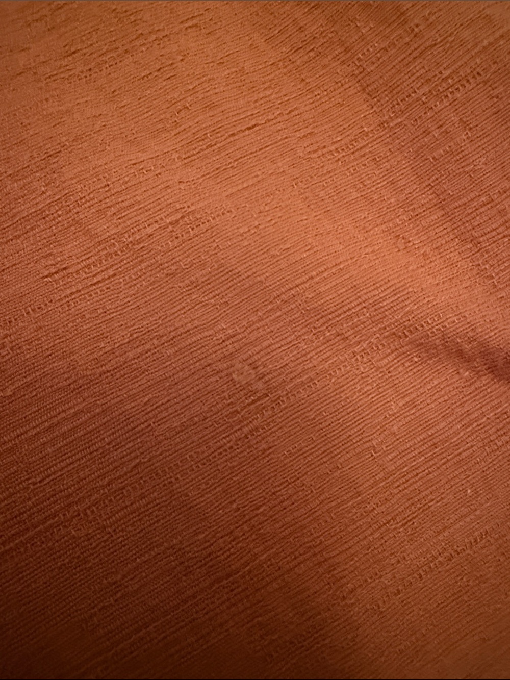 Lilyful Rust-Toned Elastic Waist Pull-On Pants - Picture 15 of 15